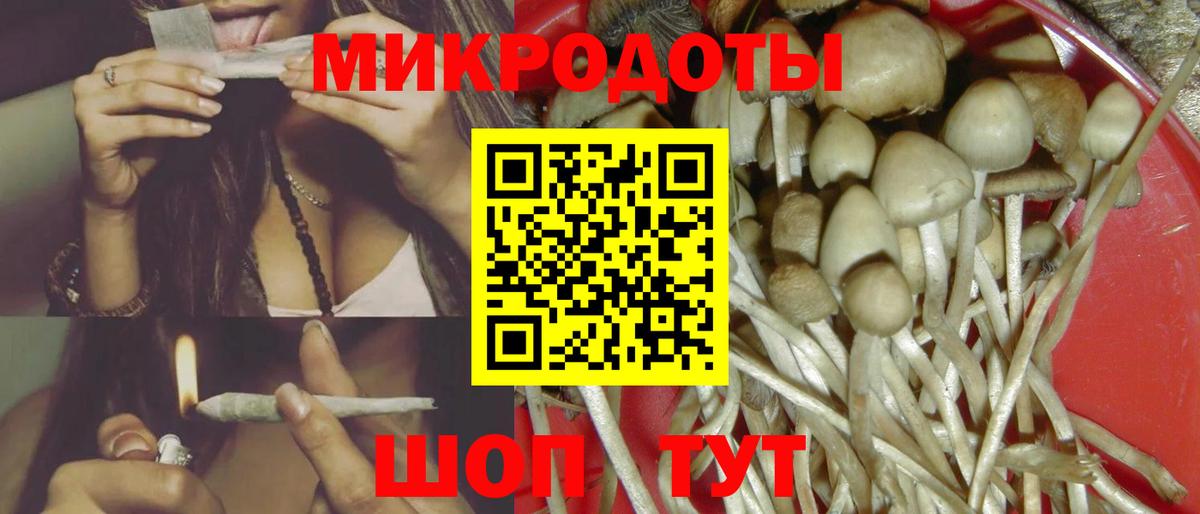 Псилоцибиновые грибы прущие грибы  Вход с VPN  Скопин 