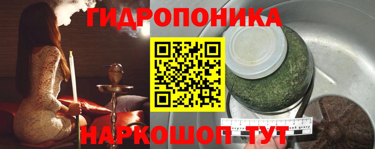 Бошки Шишки семена  Конопля план  Вход с VPN  Скопин  Марихуана THC 21% 